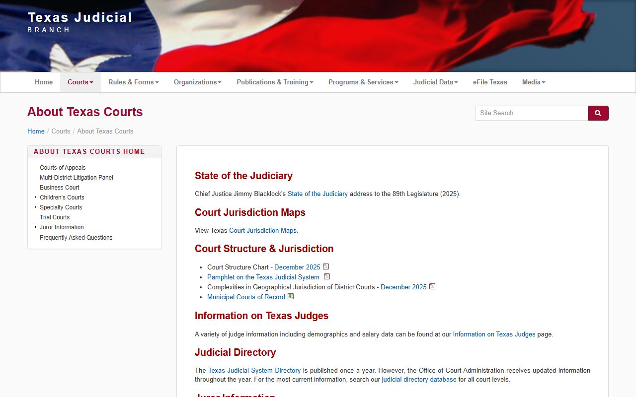 El Paso County District Court Texas court system overview